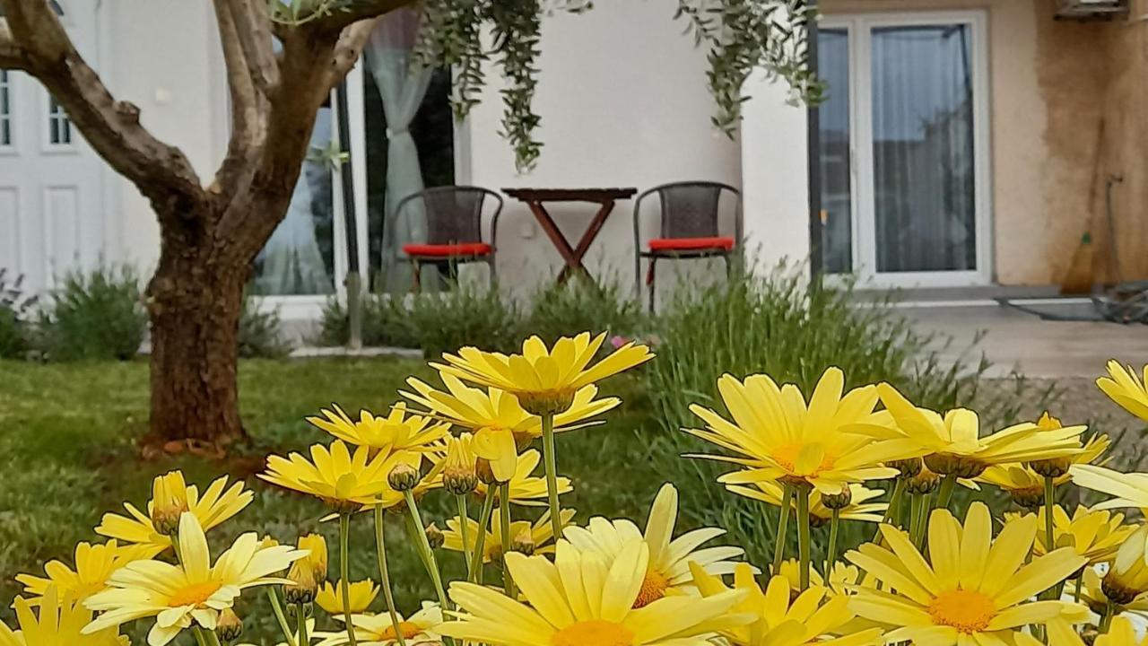 Leona Apartment Vidikovac, Pula Ngoại thất bức ảnh
